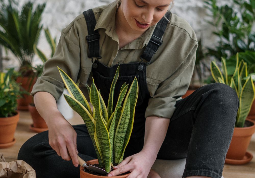 Jardinera trabajando con plantas en un jardín