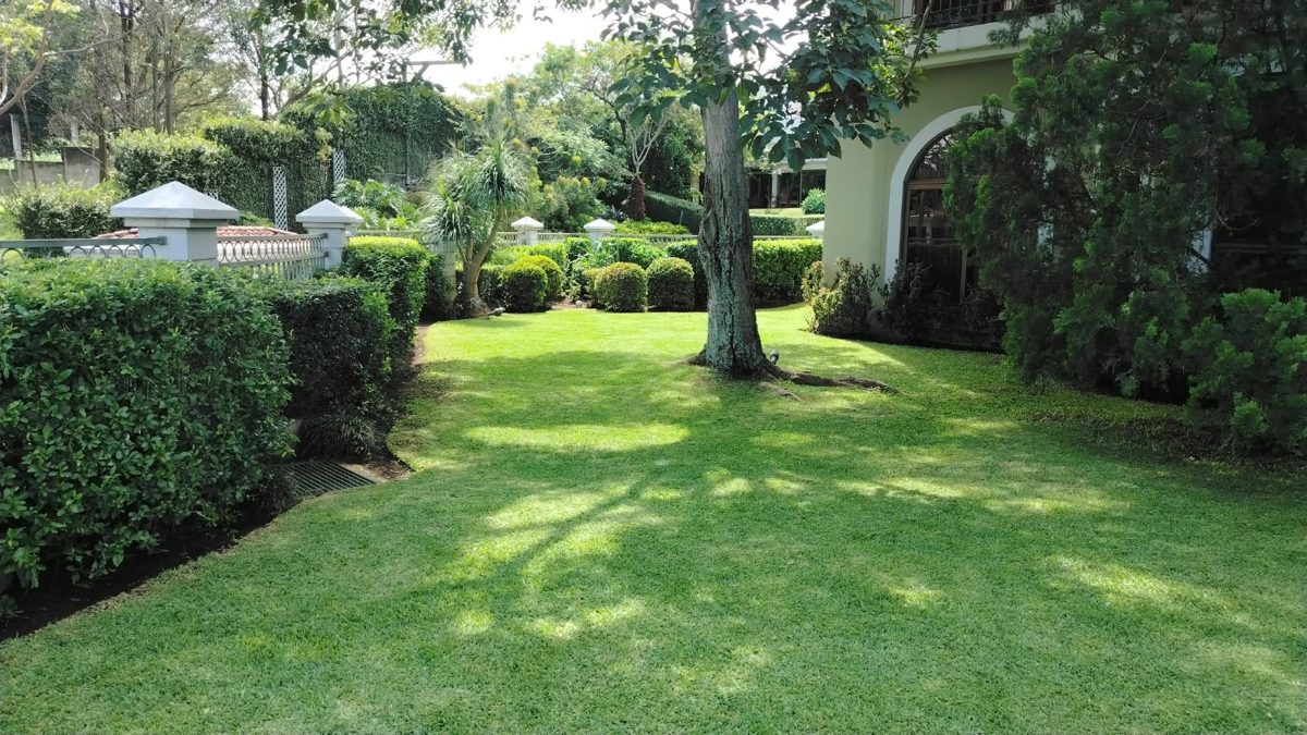 Jardín residencial con césped y setos mantenidos por Cambronero Jillo
